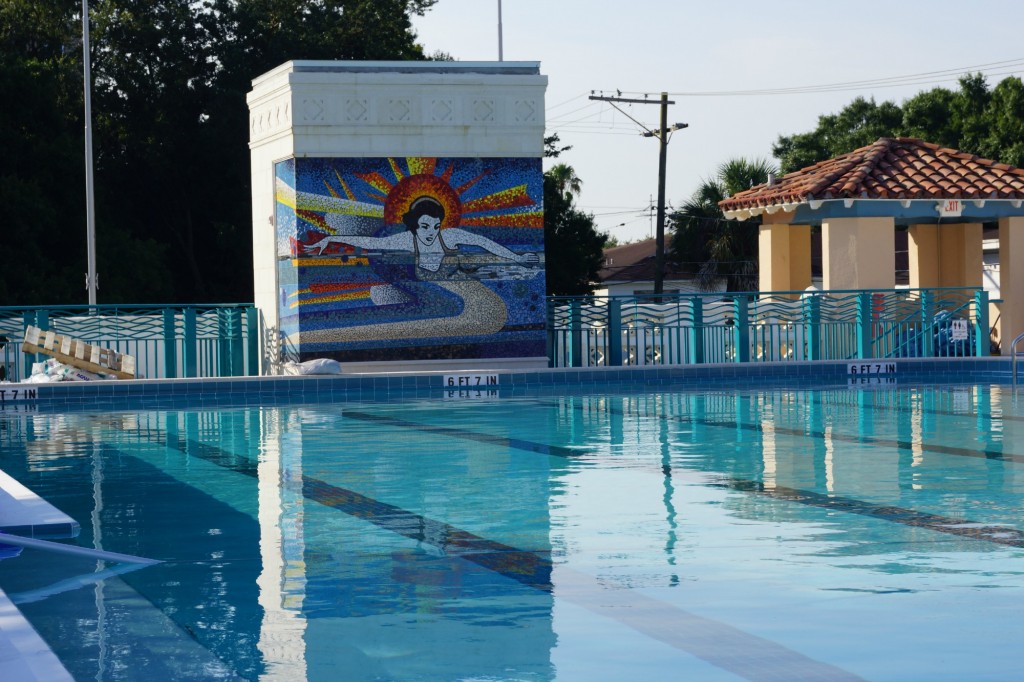 Davis Islands Roy Jenkins Pool Art Work